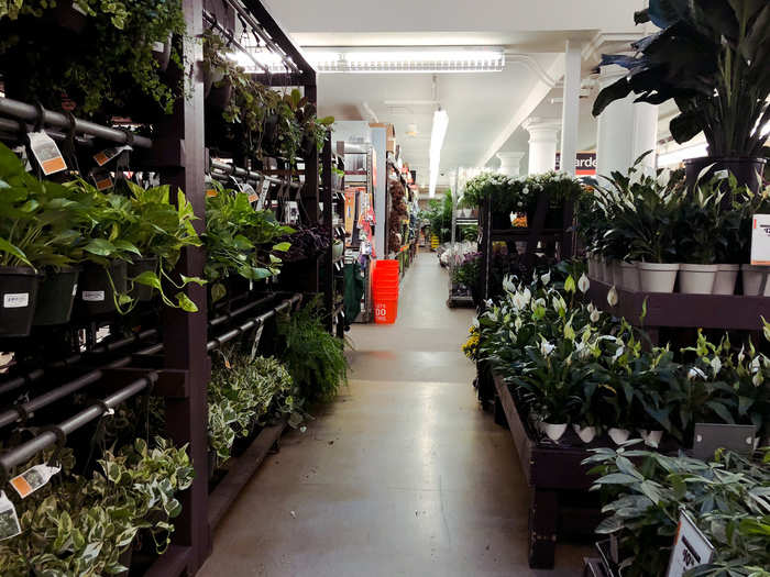 There was a garden section downstairs, though it was more focused on house plants suited for apartments rather than lawn and garden care.