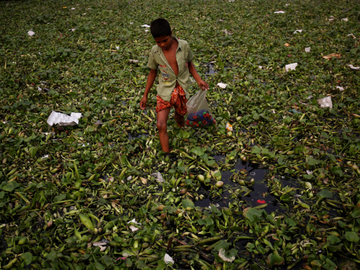 ... or plastic waste from the river.