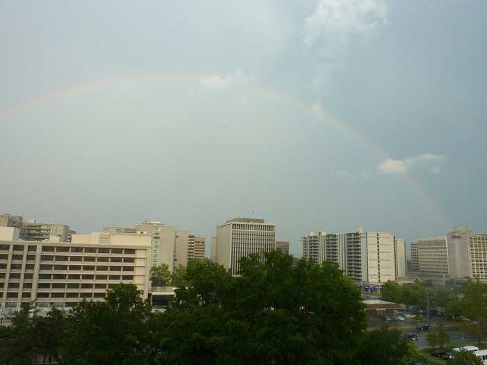 The region has a lot of high-rise apartments and is home to many shops, restaurants, and hotels.