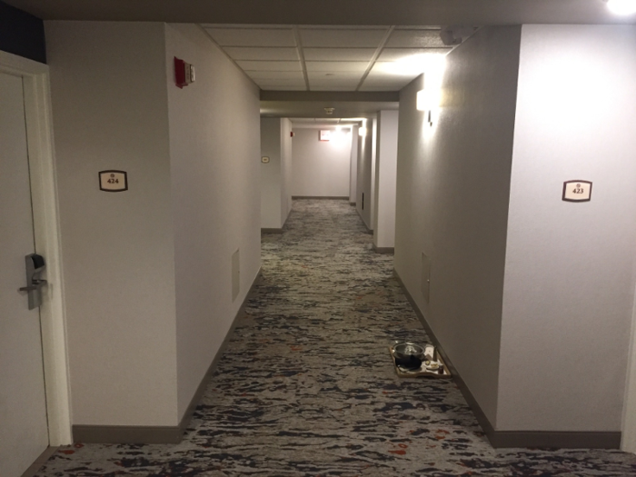 The hallways on my floor were a little dark, but not excessively so.