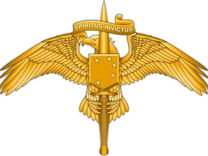 2. Marine Corps Forces Special Operations Command (MARSOC).
