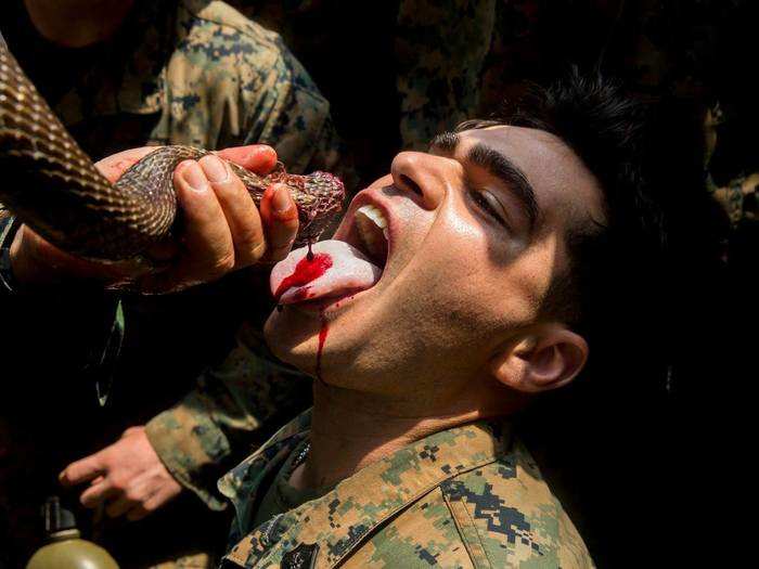 Hospital Corpsman Jacob Adam drinks cobra blood at jungle survival training during Exercise Cobra Gold 2018 at Camp Ban Chan Khrem in the Kingdom of Thailand on Feb. 17, 2018.