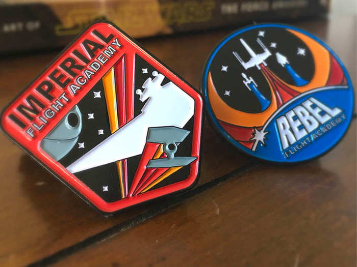 Flight academy pins
