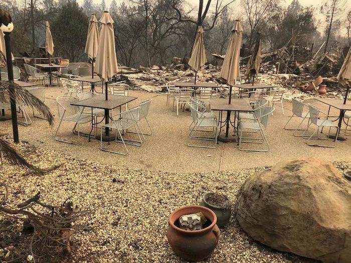 To make the situation worse, native plants such as Chaparral, which is a great fire buffer, have being cut down. "Instead of trying to make the fires adapt to us, we have to create communities and live in situations where we allow the fires to burn around us, not through us," Rich Halsey from the California Chaparral Institute said.