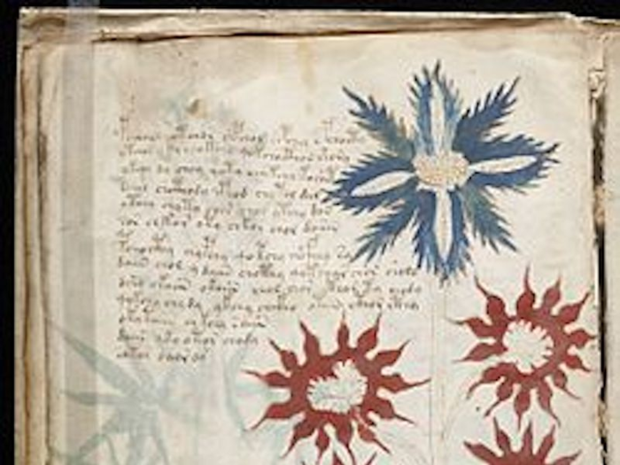 The Voynich Manuscript is mysterious book written in an untranslatable language.