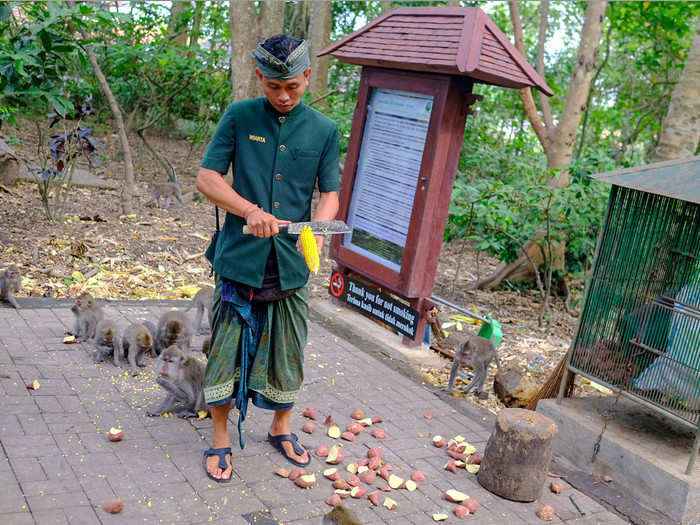 While there are bananas to buy if you want to try feeding a monkey, it