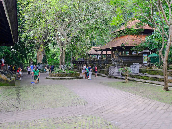 At the center of the forest is the main temple complex.