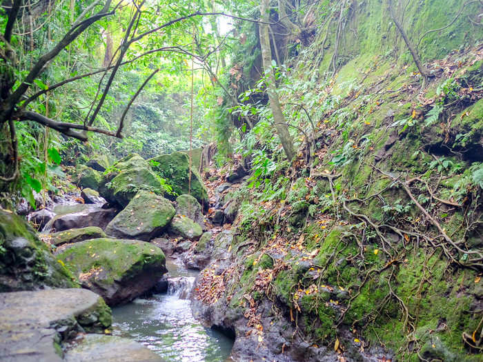 You can walk down to the stream that flows through the ravine via one of the many hiking trails.