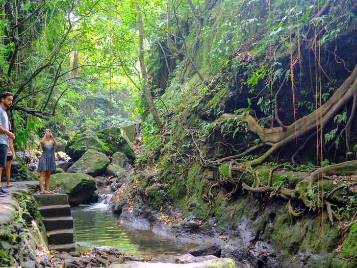 A deep ravine runs through the middle of the forest.