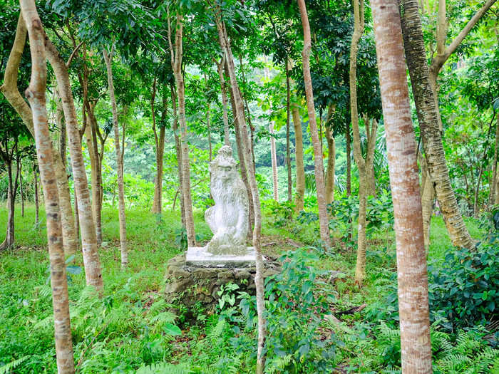 There are statues of monkeys in the forest. The sculptures are believed to "symbolize energies supporting the power of the temples," according to The Culture Trip.