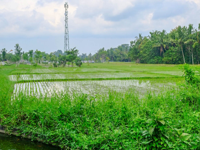 The temple complex has been designed with the traditional Balinese philosophy  Tri Hita Karana in mind. Tri Hita Karana means the "three causes of well-being," which includes harmony with God, with people, and with nature.