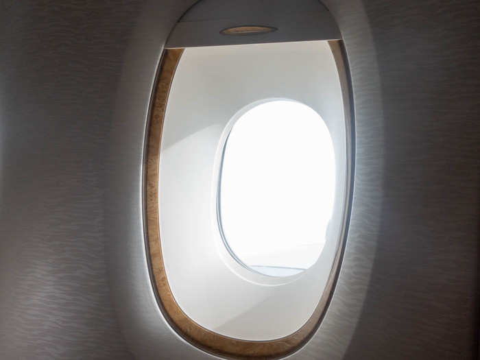 I spent a lot of time looking out the window. The faux-wood trim definitely gave that golden age of flying vibe