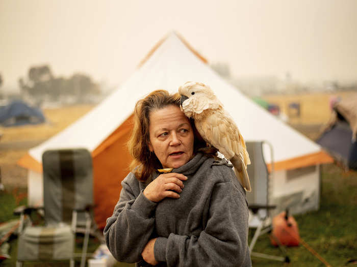 Red Cross shelters don