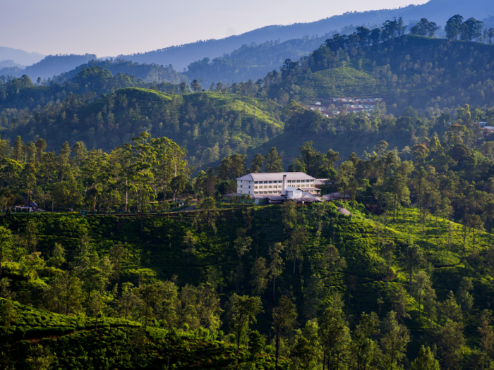 Ella itself has an abundance of hiking routes and tea factories that tourists can visit, like Newburgh Green Tea Factory (pictured below), which is owned by Finlays, one of the world