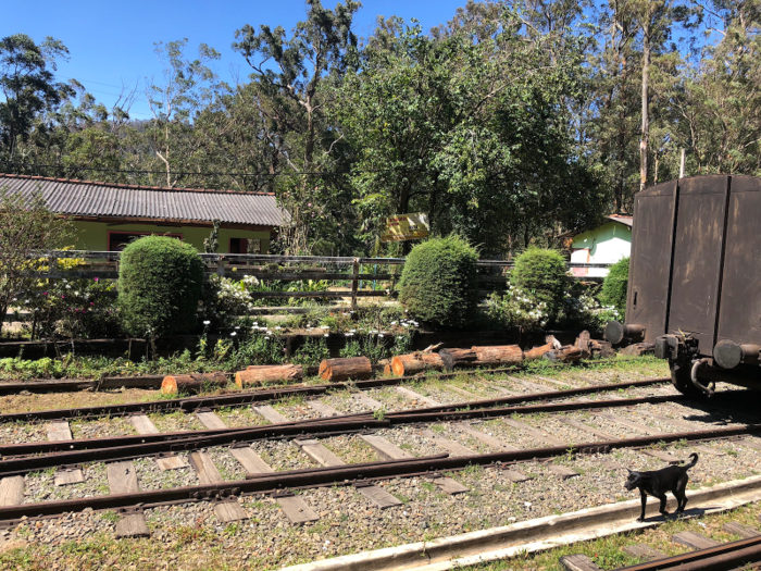 The first few hours of the journey were gruelling and monotonous as the packed-out carriages trundled through minor settlements at a snail