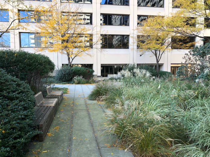 Verdant plant life — another rarity in Manhattan — lined the walkway to the edge of the park.