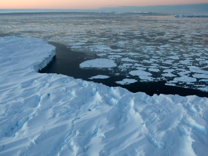 To prevent ice sheets in the Antarctic from collapsing and flooding the world