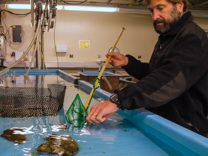 Inside research stations, scientists work to better understand some of Antarctica