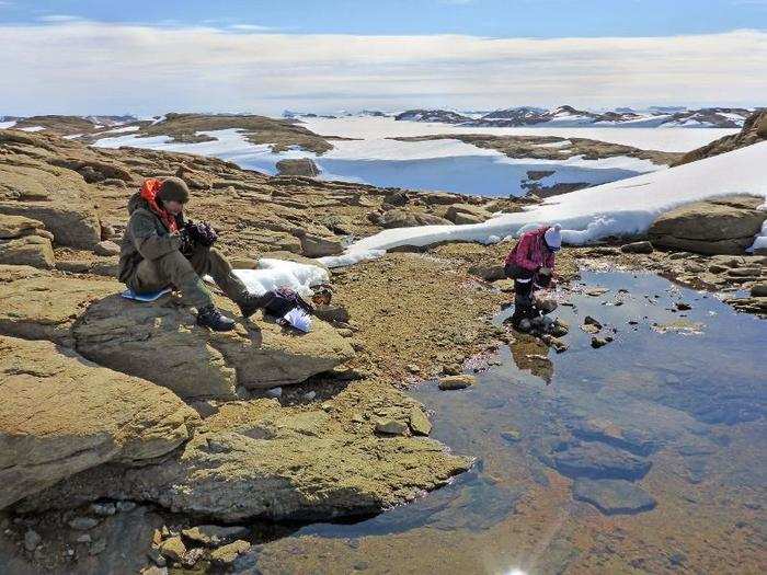 As more scientists and tourists visit Antarctica, however, a stream of seeds, lichens, and mosses is being introduced to the continent.