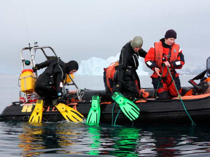 Animals that live on the Antarctic seabed are used to extremely cold conditions, but they are also very sensitive to small changes in temperature. Global warming can make these animals more vulnerable to predators, and if these changes disrupt the food chain then larger animals may suffer too.