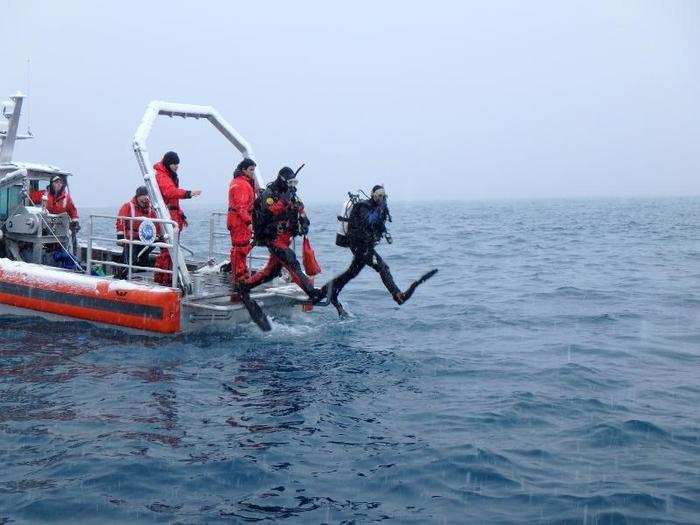 Some researchers focus on the sea, studying marine macro-algae and invertebrates in the water.