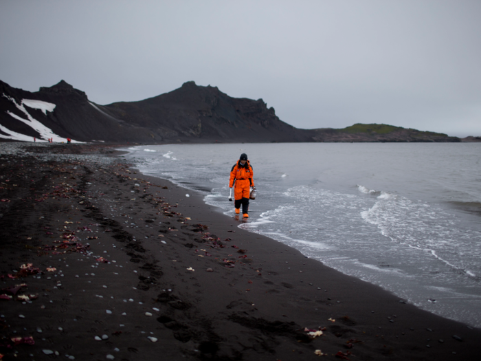 Harvard geophysicist Jerry Mitrovica told the Associated Press that parts of Antarctica are melting so quickly that it has become "ground zero of global climate change without a doubt."