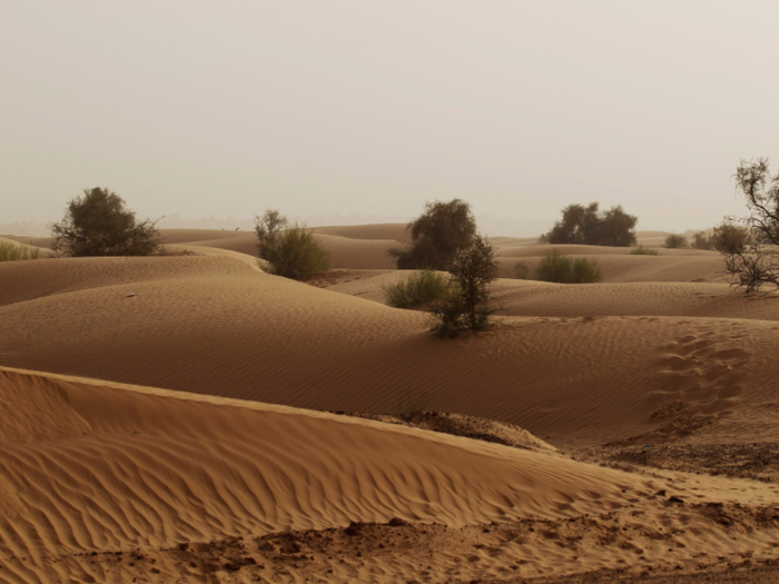 Mauritania: 82.1 degrees Fahrenheit (27.8 degrees Celsius)