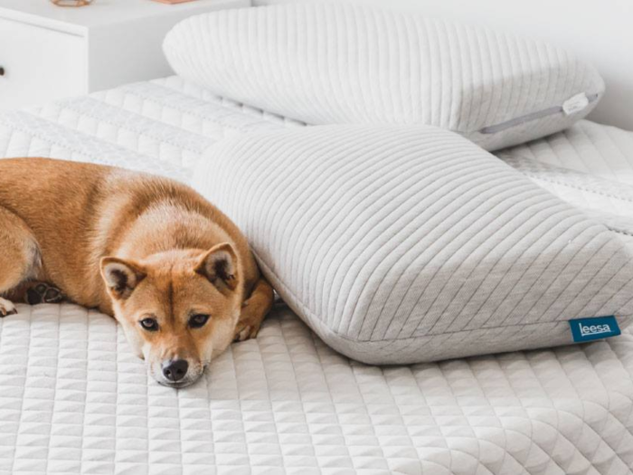 Leesa: Pressure-relieving foam and hybrid mattresses