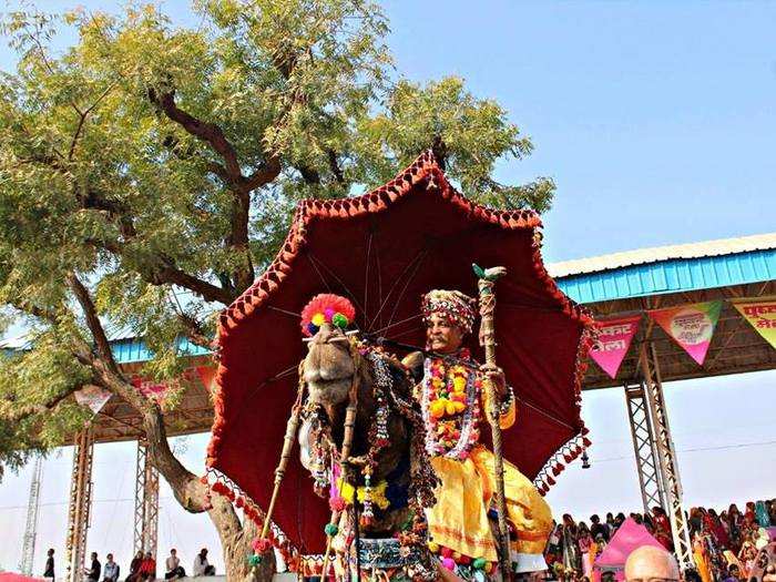 The Pushkar Camel Fair began over 150 years ago to boost trading in the region, with camel buyers and sellers from as far as Afghanistan attending the fair.