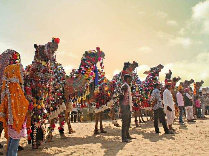 The festival also features a camel race