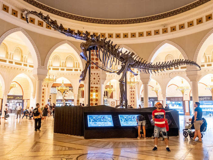 At the center of The Souk is the Grand Atrium, featuring a real 155-million-year-old Diplodocus longus dinosaur fossil. The fossil was found in Wyoming.