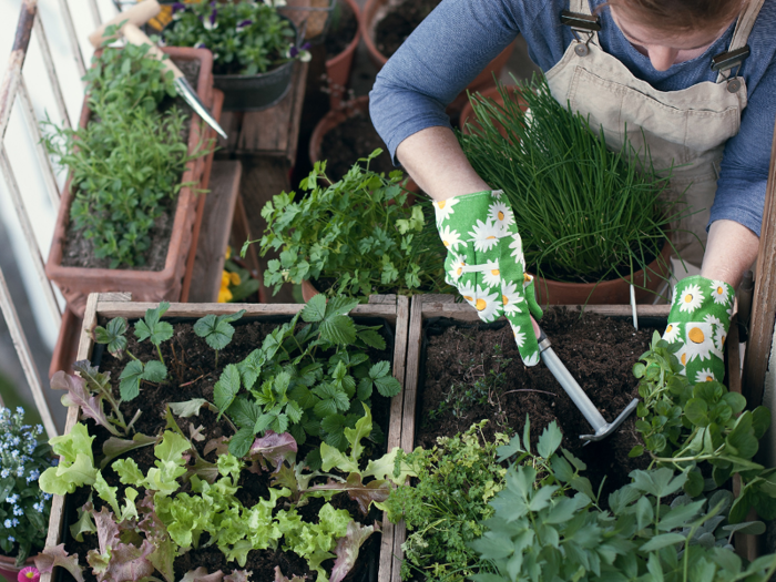 You plant the wrong kind of flowers or shrubs for your climate.