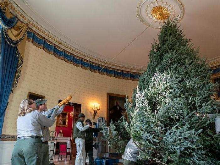 The tree is just the first, big step in holiday decorating. Thousands of volunteers will transform the White House over the coming days for visitors, staff, and the first family to enjoy.