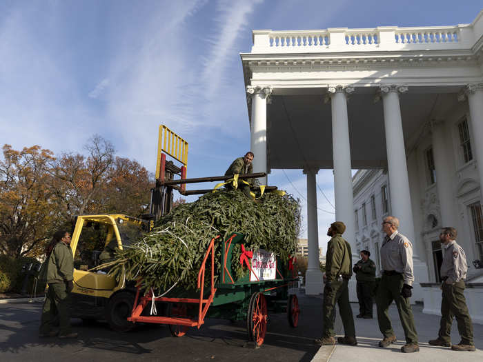 North Carolina has produced more White House Christmas trees than any other state. This is the 14th.