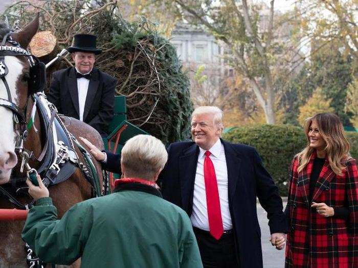 Larry Smith also grew a tree for the vice president