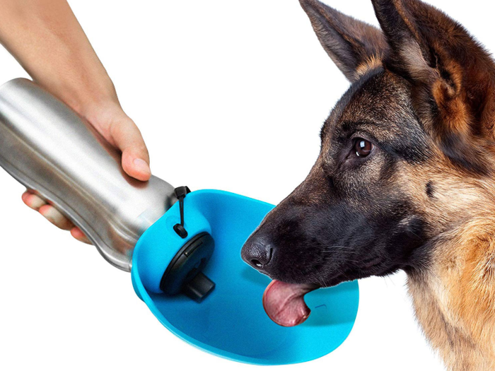 A doggie water bottle for those hot days