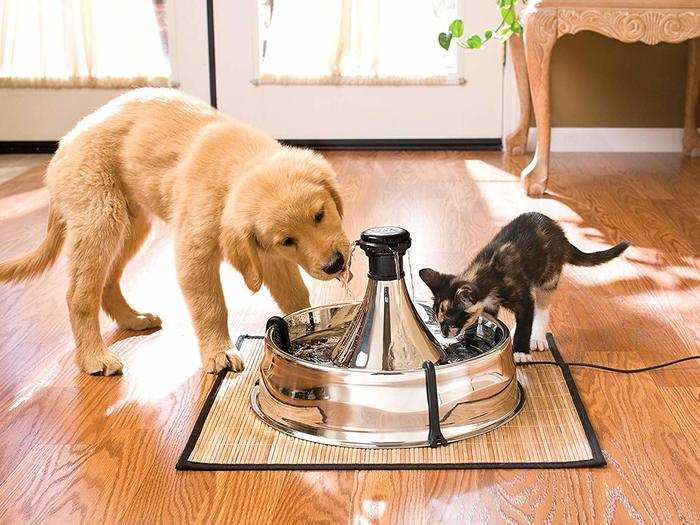 A filtered water fountain to keep them hydrated