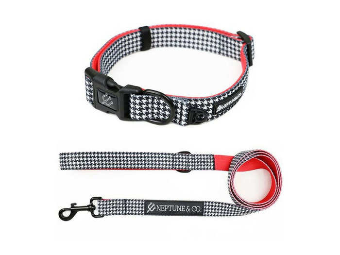 A stylish leash and collar that give back