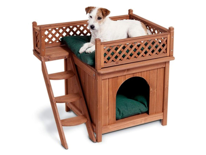 A dog house with a roof deck