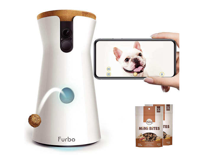 A treat-dispensing webcam to keep an eye on your pup