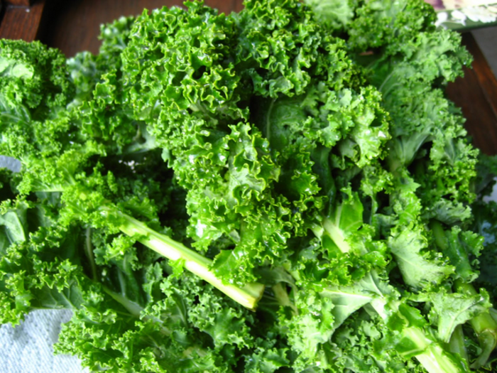 One recipe Rosenblum recommends is a "Sweet Winter Kale Salad," which includes butternut squash, pomegranate seeds, hemp seeds, avocado oil, olive oil, micro-greens, and raw honey.