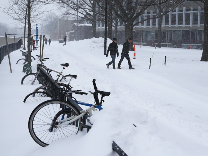 Just like anyone else studying in a snow-prone area, Ivy students may have to dig their bikes out of a mound of powder before they can get to class.