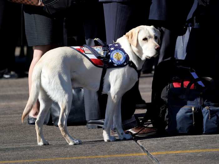 Sully was in attendance at the ceremony.