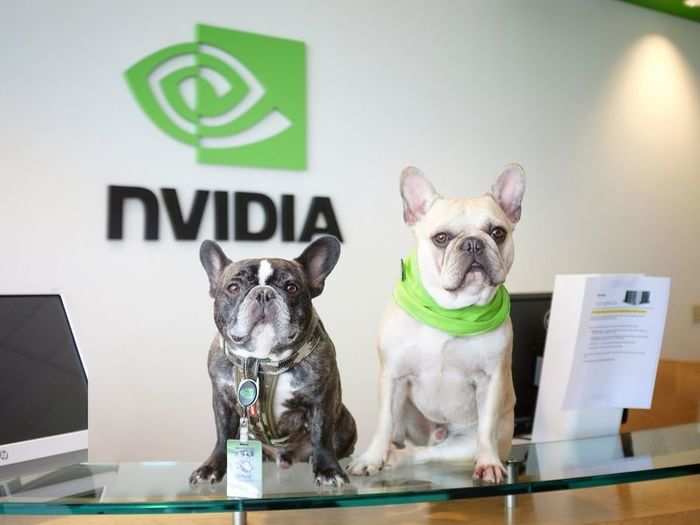 16. NVIDIA