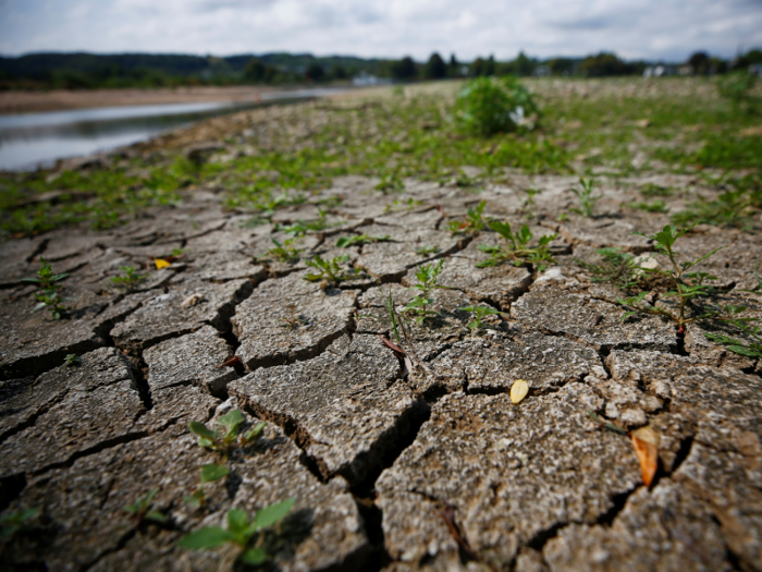 Many areas have experienced severe droughts after record-low amounts of rainfall this year.