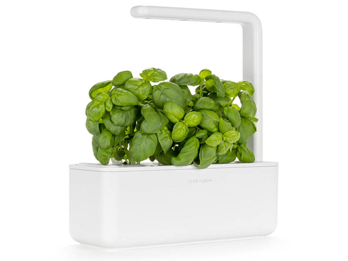 A tiny smart garden that they can grow herbs in easily and year-round