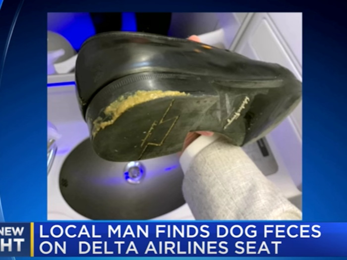 A passenger stepped in dog feces on a Delta Air Lines flight and the crew reportedly did not assist him in cleaning it up (November)