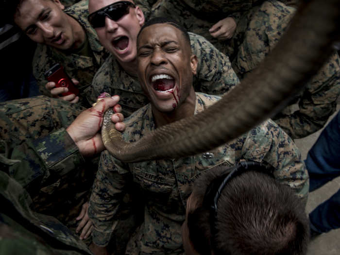 US Marine Corps Sgt. Christopher Fiffie drinks cobra blood during jungle survival training in Sattahip, Thailand on Feb. 19, 2018.