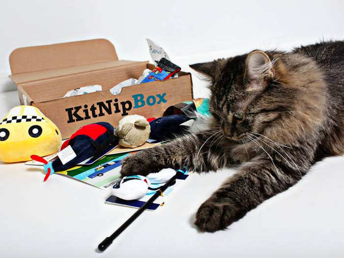 KitNipBox: toys and treats for their other best animal friend