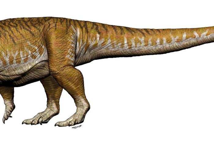 Scientists discovered two new kinds of giant dinosaurs.